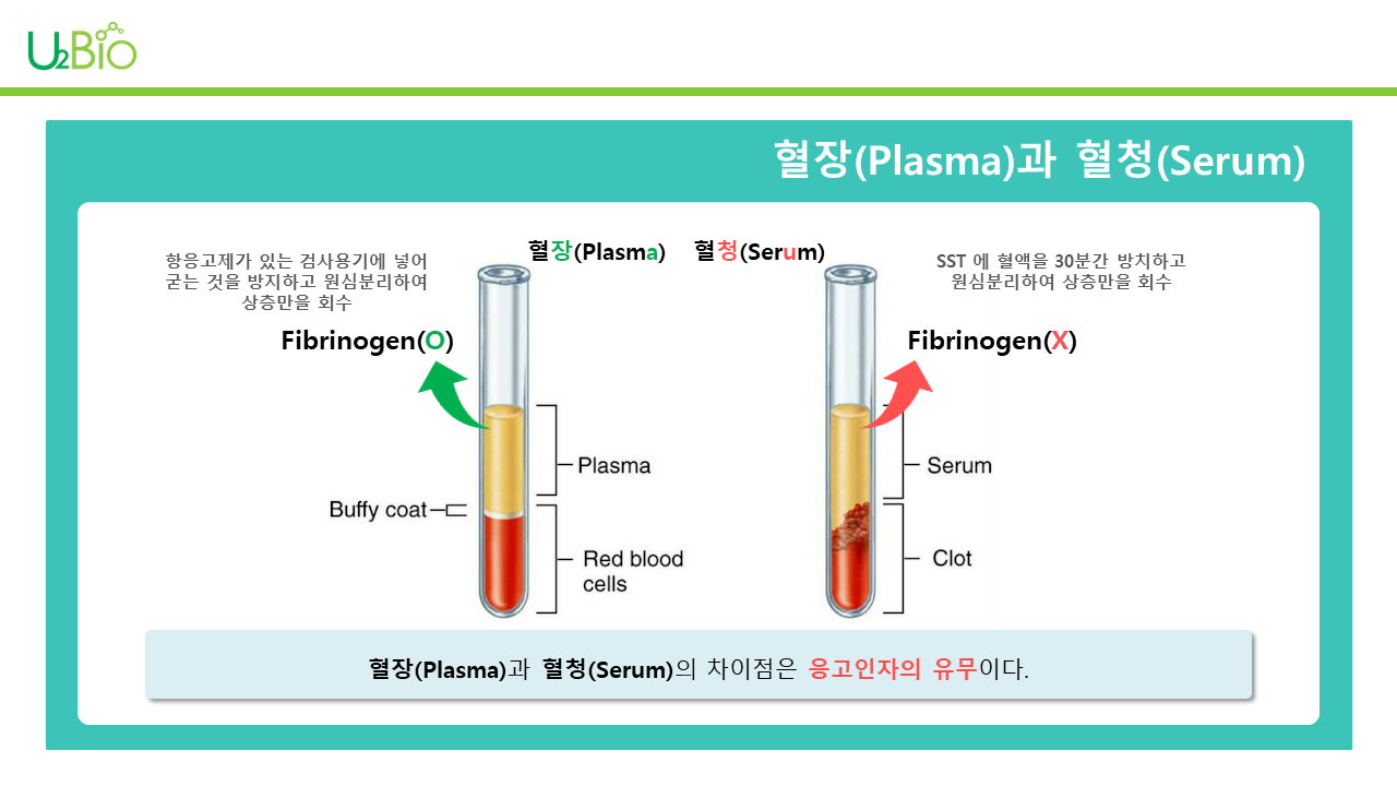 진단검사와 검체_002.png