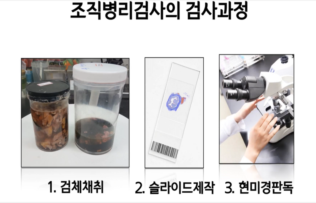 조직2.PNG