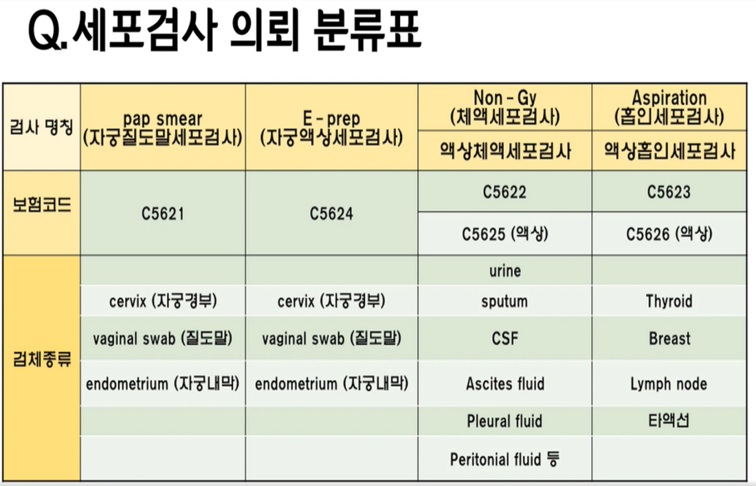 세포3.PNG